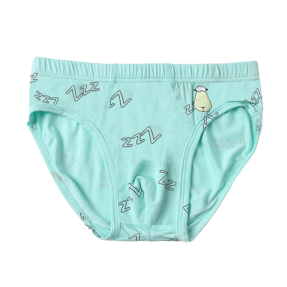 Boys Briefs C011-B 3 pcs