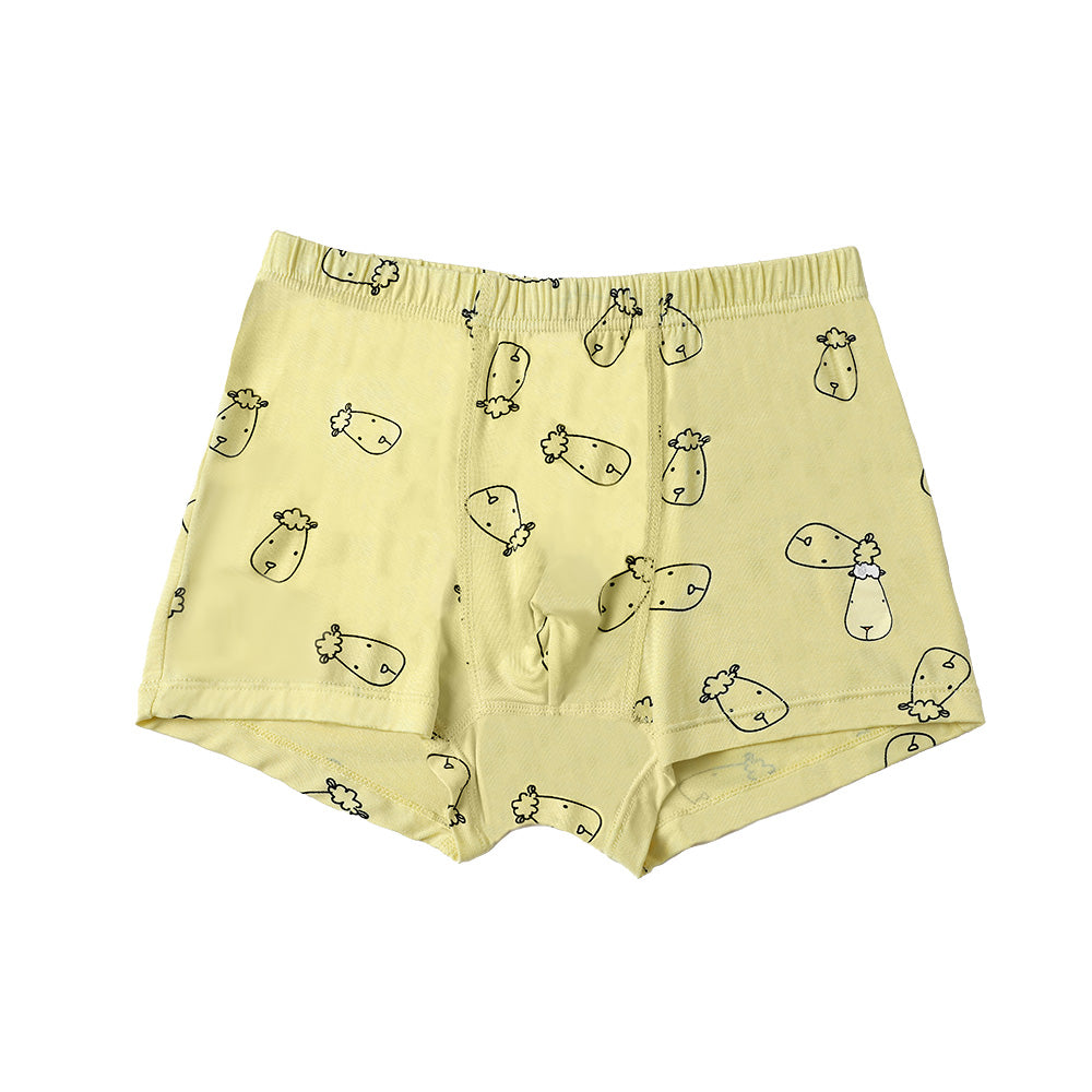 Boys Boxer C011-B 3 pcs