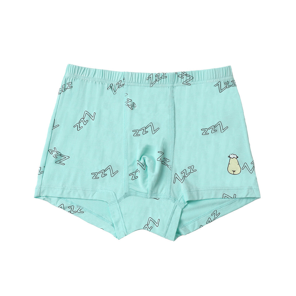 Boys Boxer C011-B 3 pcs