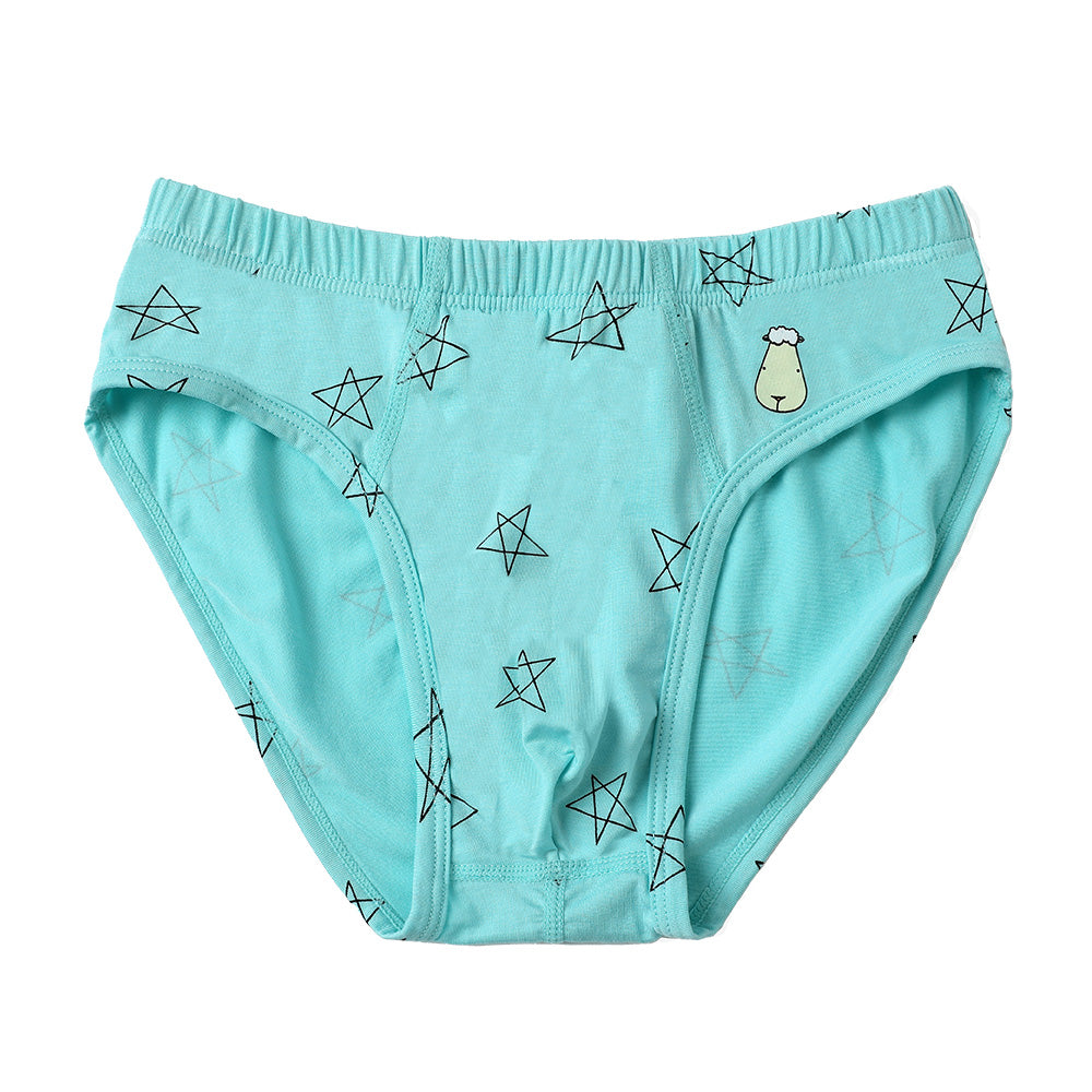 Boys Briefs C009-M 3 pc