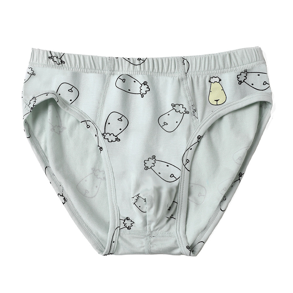 Boys Briefs C009-M 3 pc