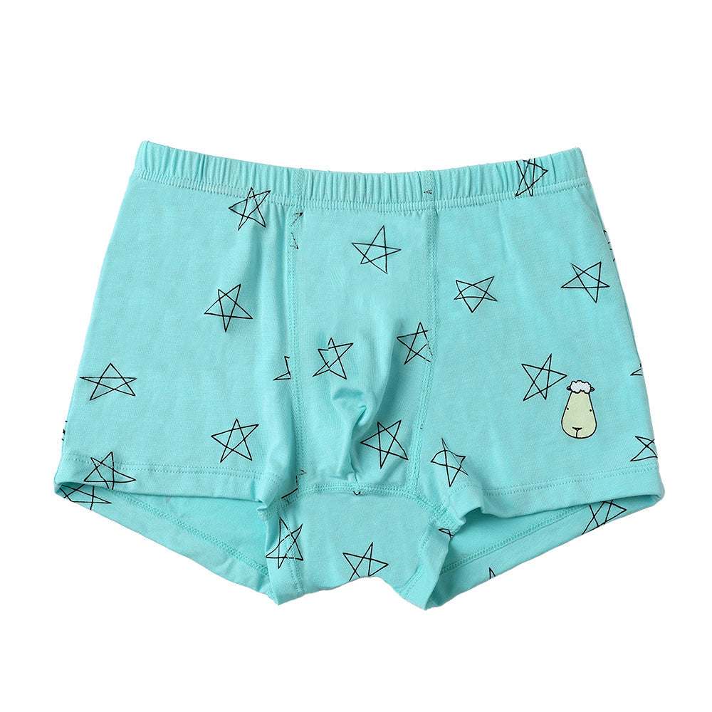 Boys Boxer C009-M 3 pcs