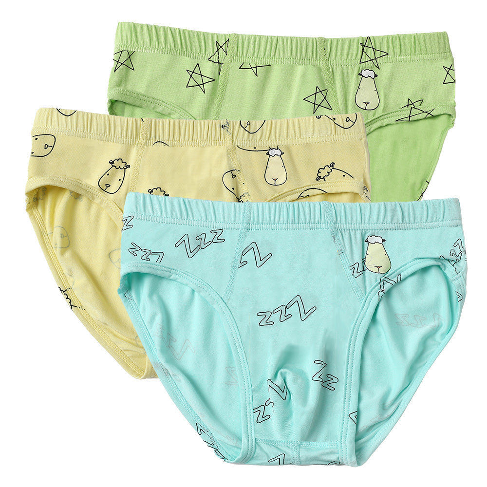 Boys Briefs C011-B 3 pcs