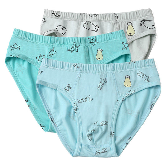 Boys Briefs C009-M 3 pc