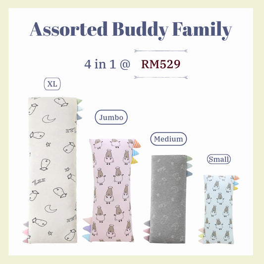 Assorted Buddy Family Set