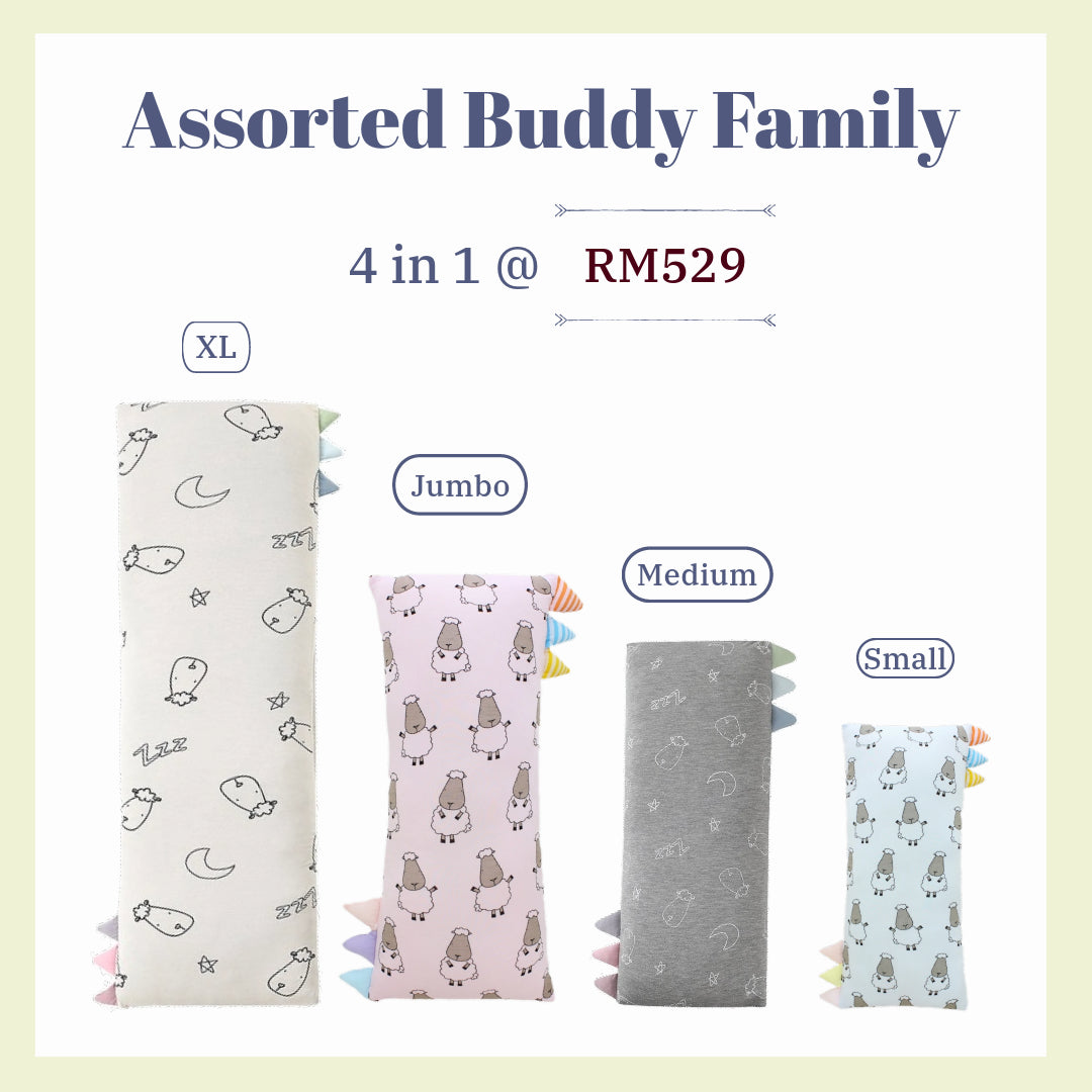 Assorted Buddy Family Set