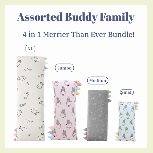 Assorted Buddy Family Set