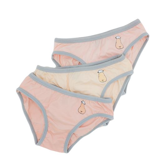 Girls Briefs C002 3 pcs