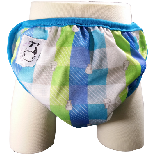 One Size Swim Diaper Checkers with Blue Border